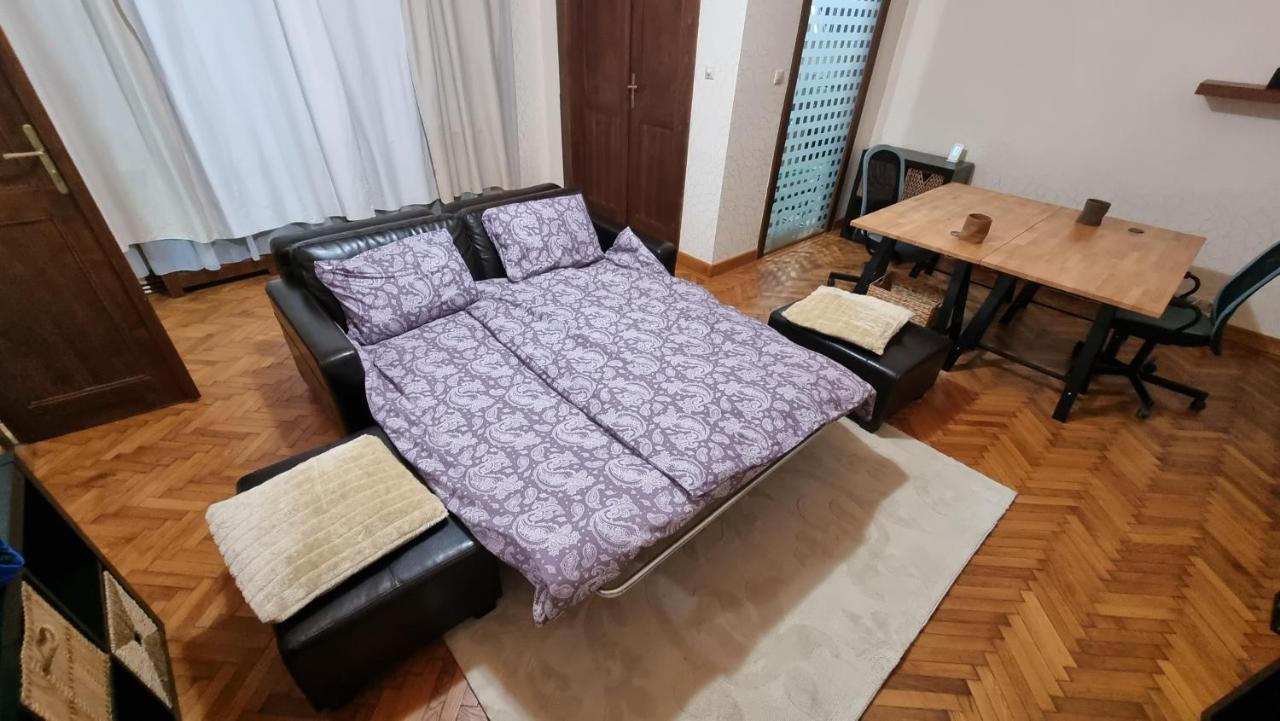 Neuhausz Suite - Ultracentral Temešvár Exteriér fotografie