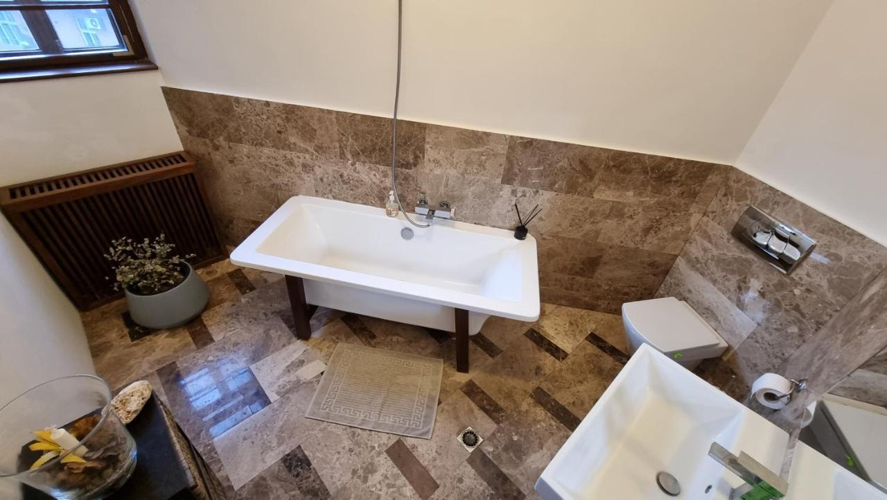 Neuhausz Suite - Ultracentral Temešvár Exteriér fotografie