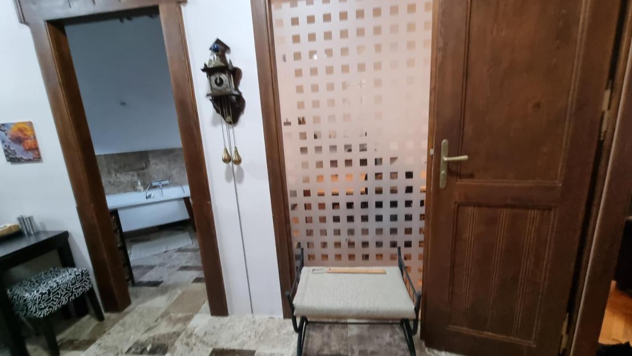 Neuhausz Suite - Ultracentral Temešvár Exteriér fotografie